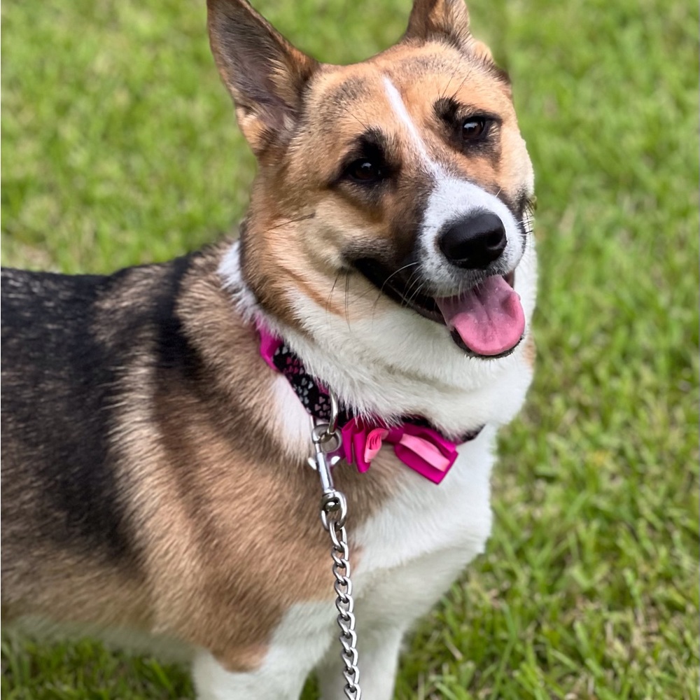 Lady says: BUNDLE TO SAVE!  Up to 5 lbs.